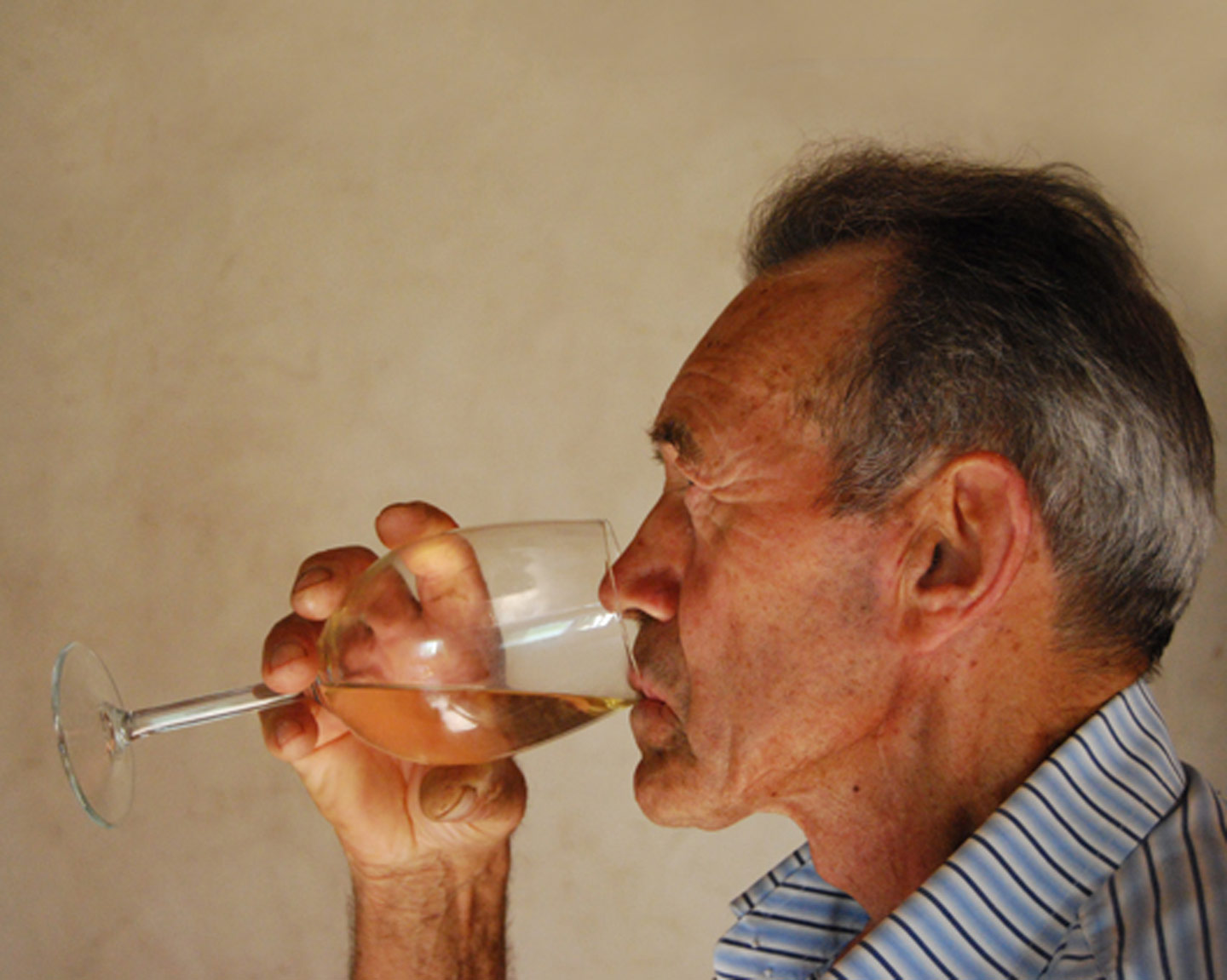 Terre di Molina - La Vigna Ardarì