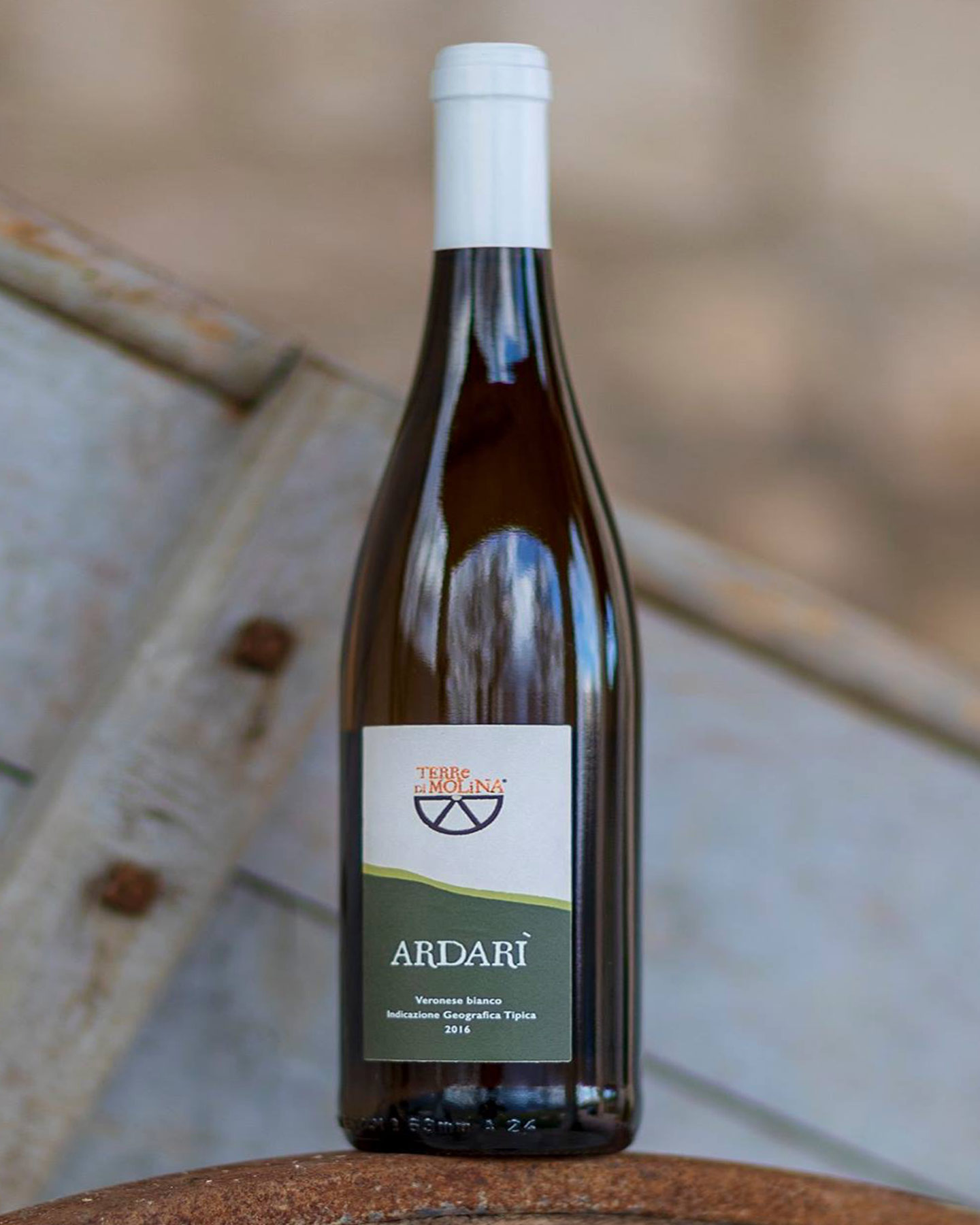 Terre di Molina - Ardarì Veronese Bianco IGT