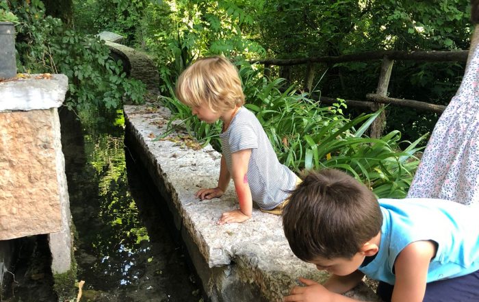 Scoprire la vita dell’acqua sorgiva divertendosi “naturalmente”