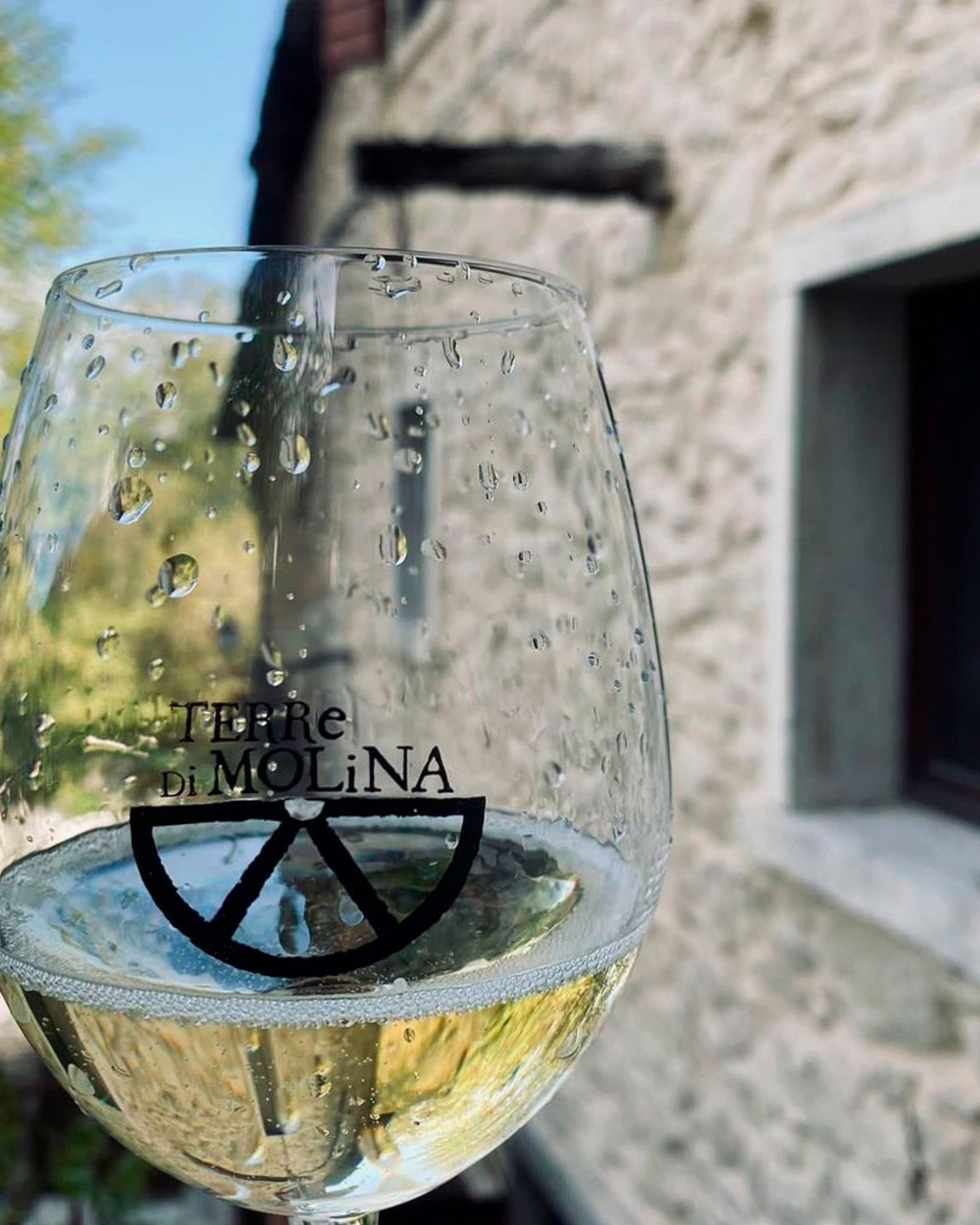 Terre di Molina - La Vigna Ardarì