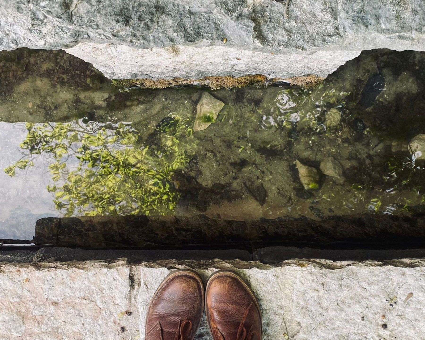 Terre di Molina - La Vigna Ardarì